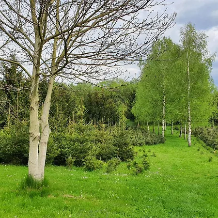 Apartment Cichy Zakatek