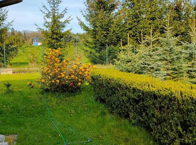 Apartment Cichy Zakatek *