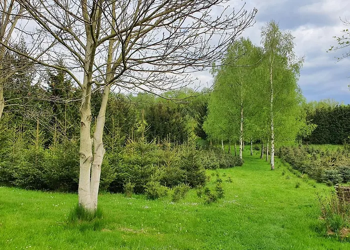 Apartment Cichy Zakatek